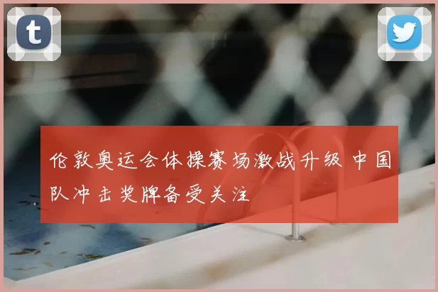 伦敦奥运会体操赛场激战升级 中国队冲击奖牌备受关注