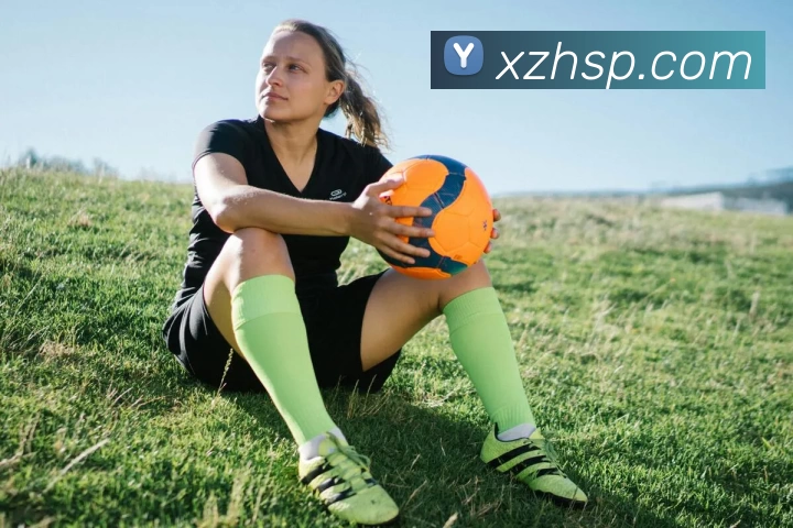 米兰网页版登录入口 - 米兰(中国)发展历程